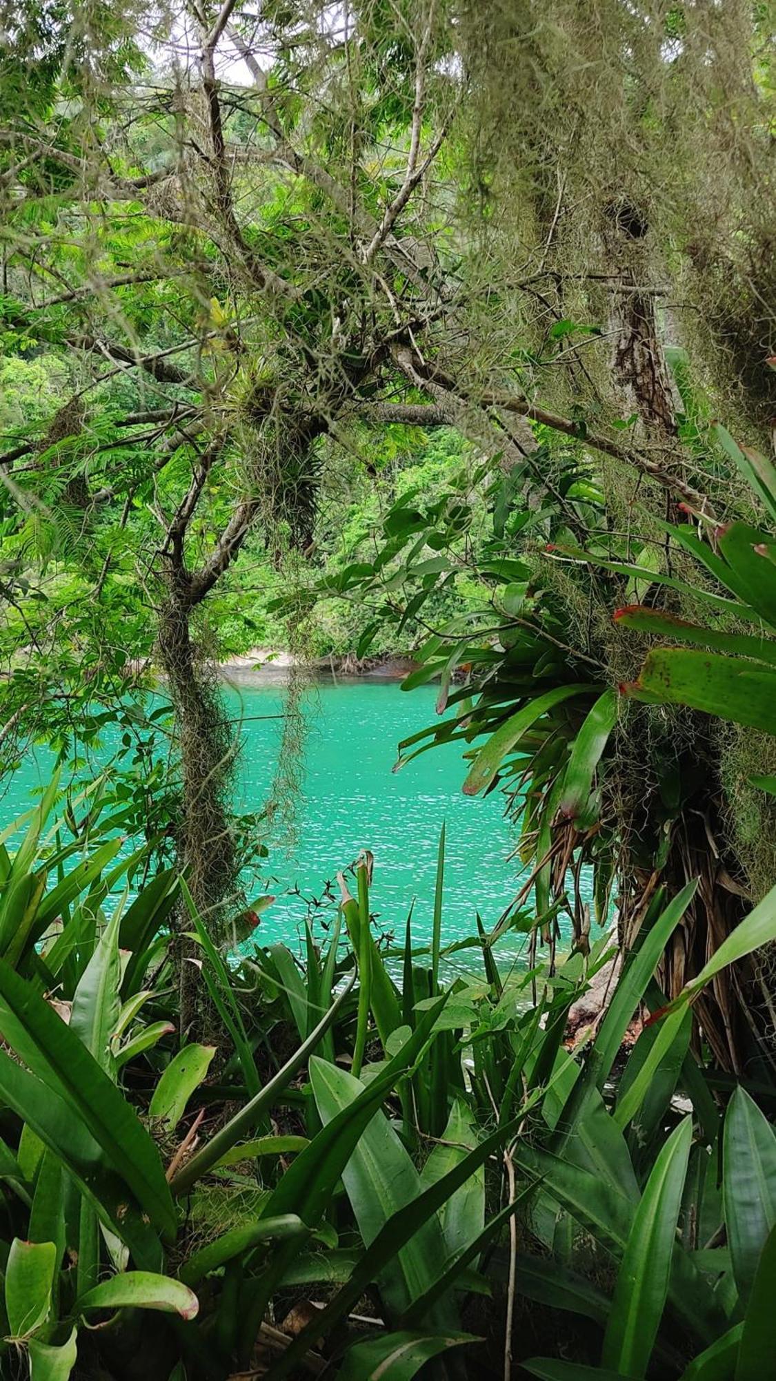 Chales Da Longa Angra dos Reis Exterior foto